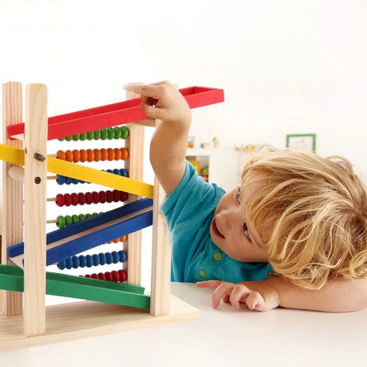 Montessori Educational Toy